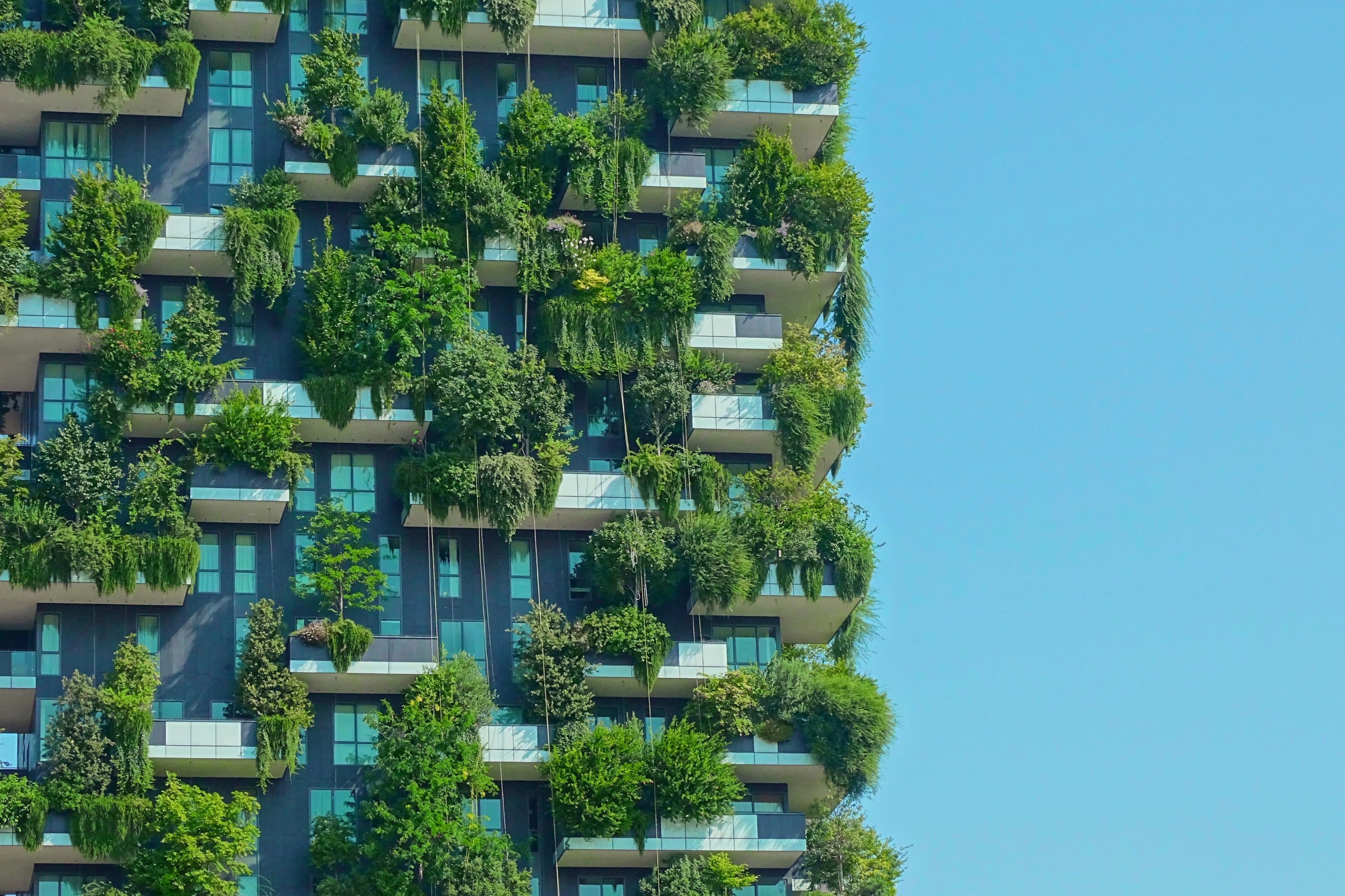 Sustainable building