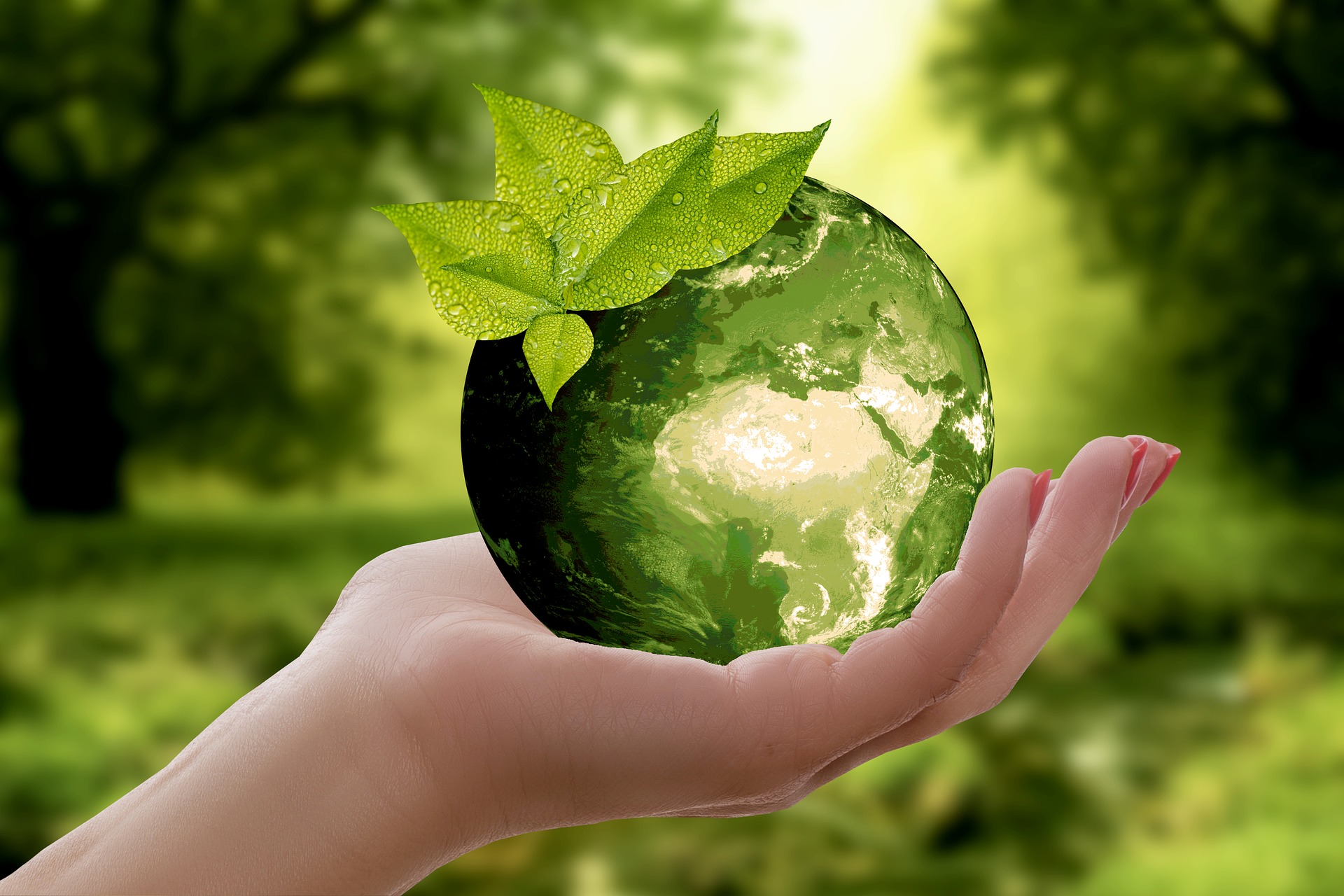 Hand holding a green earth with leaves, symbolizing environmental conservation and sustainability
