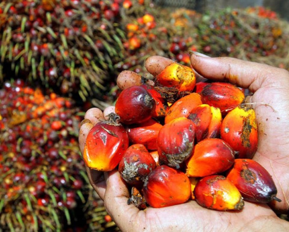 RSPO