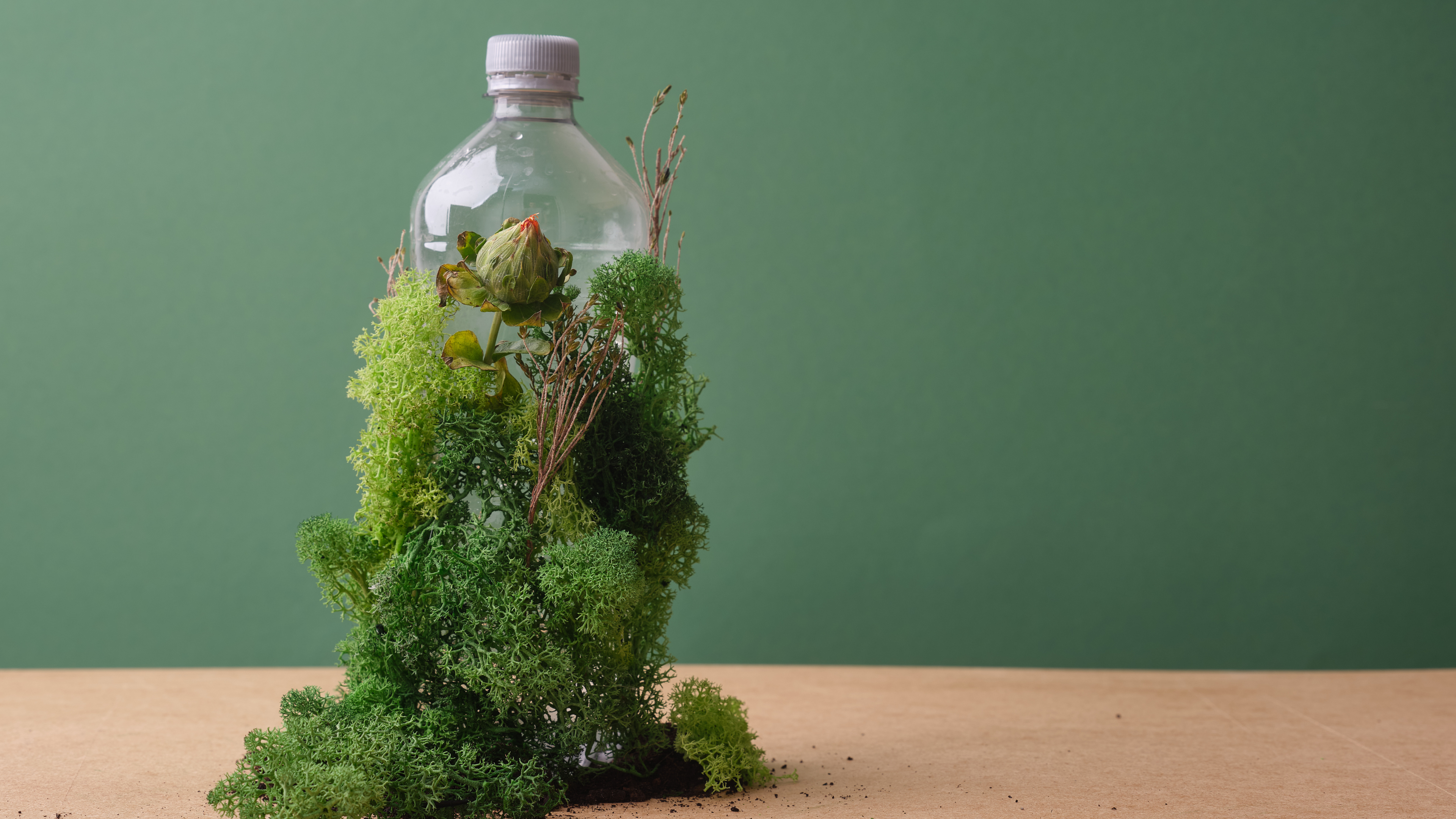 Plastic bottle surrounded by lush green moss and small plants against a green background, representing nature and upcycling concepts