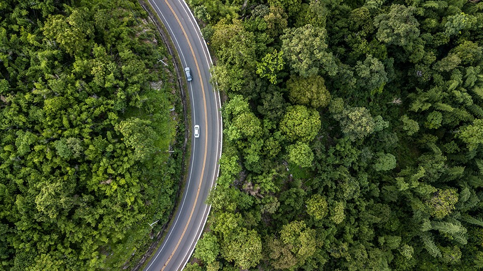 鸟瞰视角显示环绕茂密绿色森林的弯曲公路，两辆车正在道路上行驶。